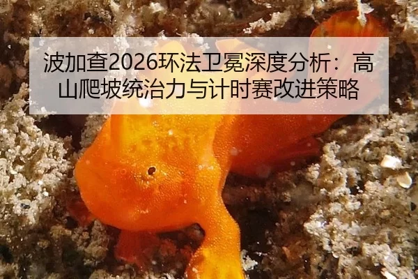 bo-jia-cha-huan-fa-wei-mian-shen-du-fen-xi-gao-shan-pa-po-tong-zhi-li-yu-ji-shi-sai-gai-jin-ce-lve-2-585.jpg